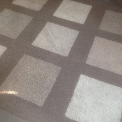 Untitled (512 x 512 px) (1983 x 877 px) (426 x 426 px) (1) "Dirt Busters performing thorough rug cleaning, removing dirt from an ornate area rug."