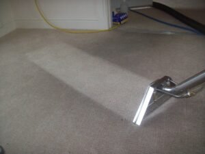 "Professional carpet cleaning in progress by Dirt Busters, showcasing deep-cleaning equipment on a stained carpet."